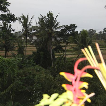Ogek Home Stay Ubud  Exterior photo